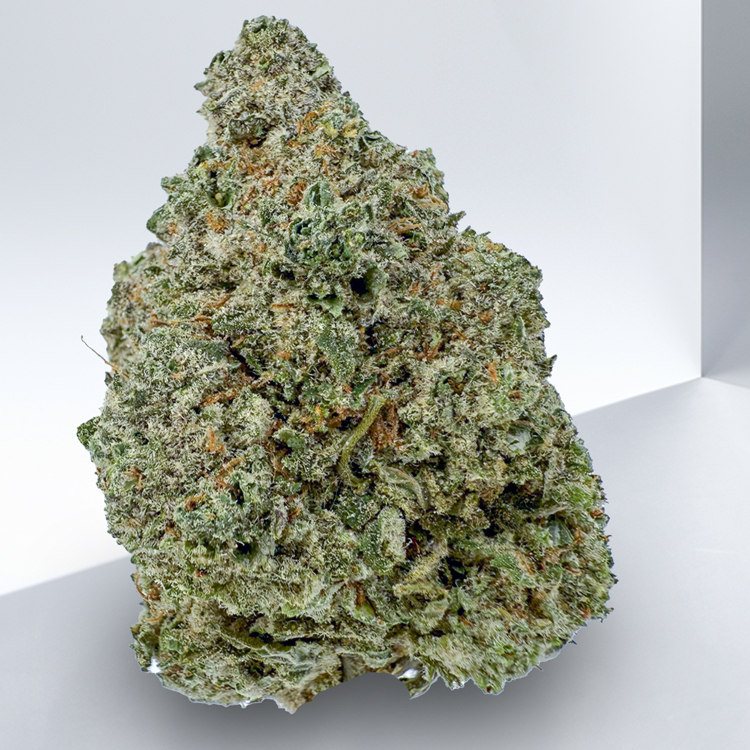 442-LEMON-HAZE.jpeg